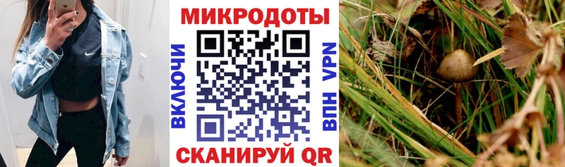 Псилоцибиновые грибы Magic Shrooms  купить наркотик  Коряжма 