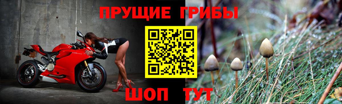 Псилоцибиновые грибы Cubensis  Галлюциногенные грибы Cubensis  Коряжма  Вход с VPN 
